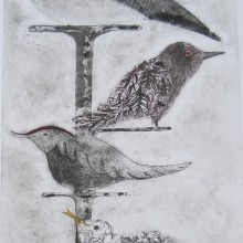 Birds : Collagraph : Annabelle Deutsch
