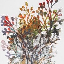 Seaweed : Collagraph + Monoprint : Annabelle Deutsch
