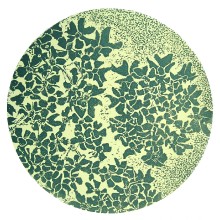 Cow Parsley Flowerhead/Green + Lemon : Collagraph : Cheryl Brooks